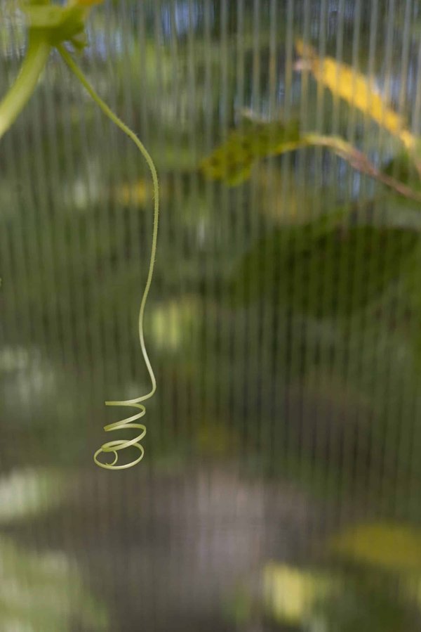 How to Tailor Yoga Practices for Individuals with Scoliosis?